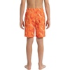 image:imageSpyder Boys Swim Trunk Volley Shorts QuickDry UPF 30 4Way Stretch Brief Liner Pockets Big BoysSaffron
