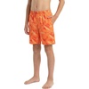 image:imageSpyder Boys Swim Trunk Volley Shorts QuickDry UPF 30 4Way Stretch Brief Liner Pockets Big BoysSaffron