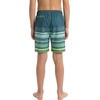 image:imageSpyder Boys Swim Trunk Volley Shorts QuickDry UPF Protection 4Way Stretch Brief Liner PocketsMallard Green
