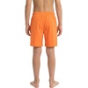 image:imageSpyder Boys Swim Trunk Volley Shorts QuickDry UPF Protection 4Way Stretch Brief Liner PocketsTiger