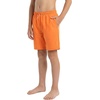 image:imageSpyder Boys Swim Trunk Volley Shorts QuickDry UPF Protection 4Way Stretch Brief Liner PocketsTiger