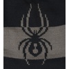 image:imageSpyder Mens Shelby Lined BeanieBlackPolar S1