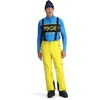 Acid Yellow