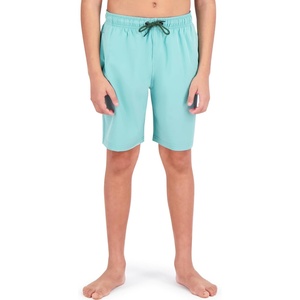 image:imageSpyder Boys Swim Trunk Volley Shorts QuickDry UPF 30 4Way Stretch Brief Liner Pockets Big BoysWasabi