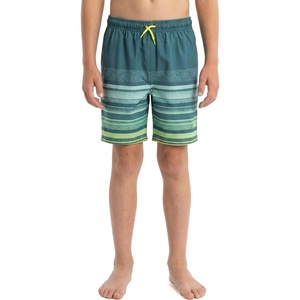 image:imageSpyder Boys Swim Trunk Volley Shorts QuickDry UPF Protection 4Way Stretch Brief Liner PocketsMallard Green