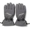 image:imageSpyder Mens Overweb Goretex GlovesPolar