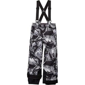 image:imageSpyder Boys Boys Propulsion Ski PantsFrozen in Time Print