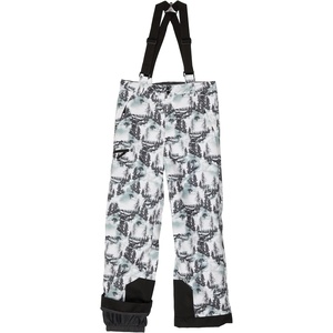 image:imageSpyder Boys Boys Propulsion Ski PantsTree Line Print