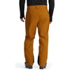image:imageSpyder Mens Spyder Hone Goretex Shell PantToasted
